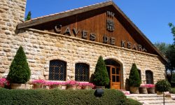 Entdecken Sie Chateau Ksara