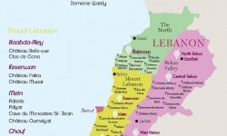 Why Lebanese Wine